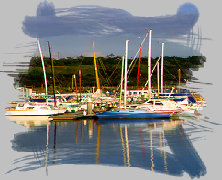 website15005.jpg
